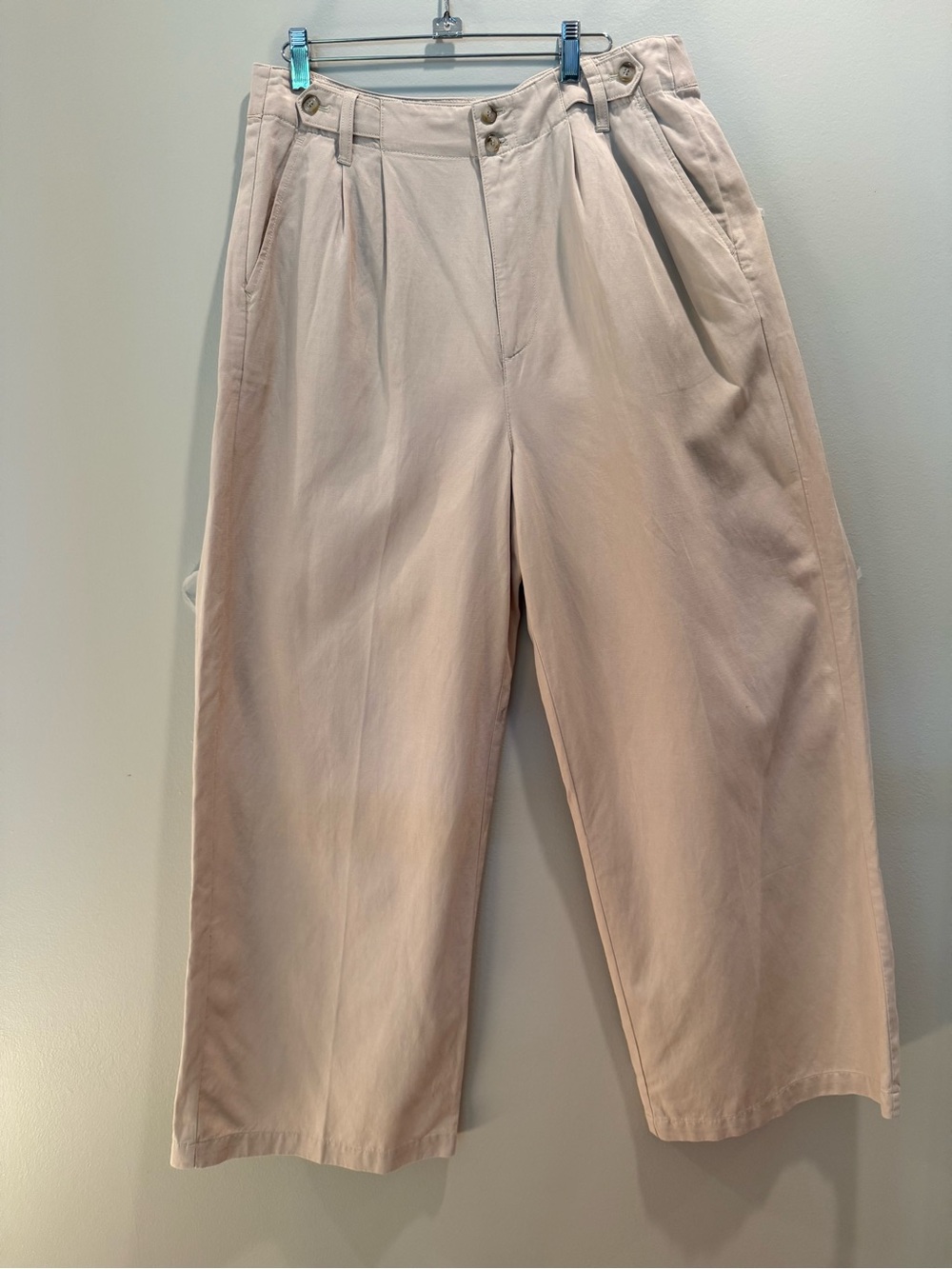 Madewell Neutral Tan High-Waist Button Front  zip close Trousers